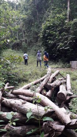 Identifikasi Tanah Desa dan Sultan Ground di Srimartani